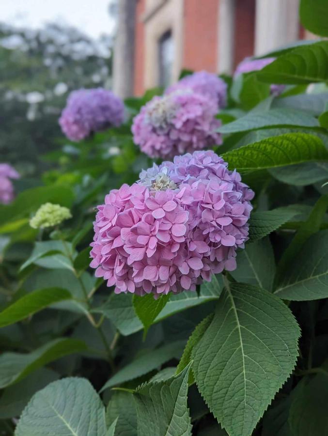 The Vistula Rose B & B トレド エクステリア 写真
